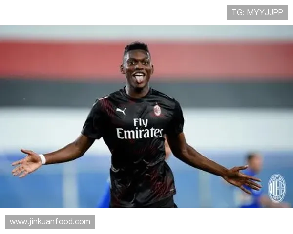 格拉斯纳会晤伊布接近执掌米兰 格拉斯纳会晤伊布接近执掌米兰